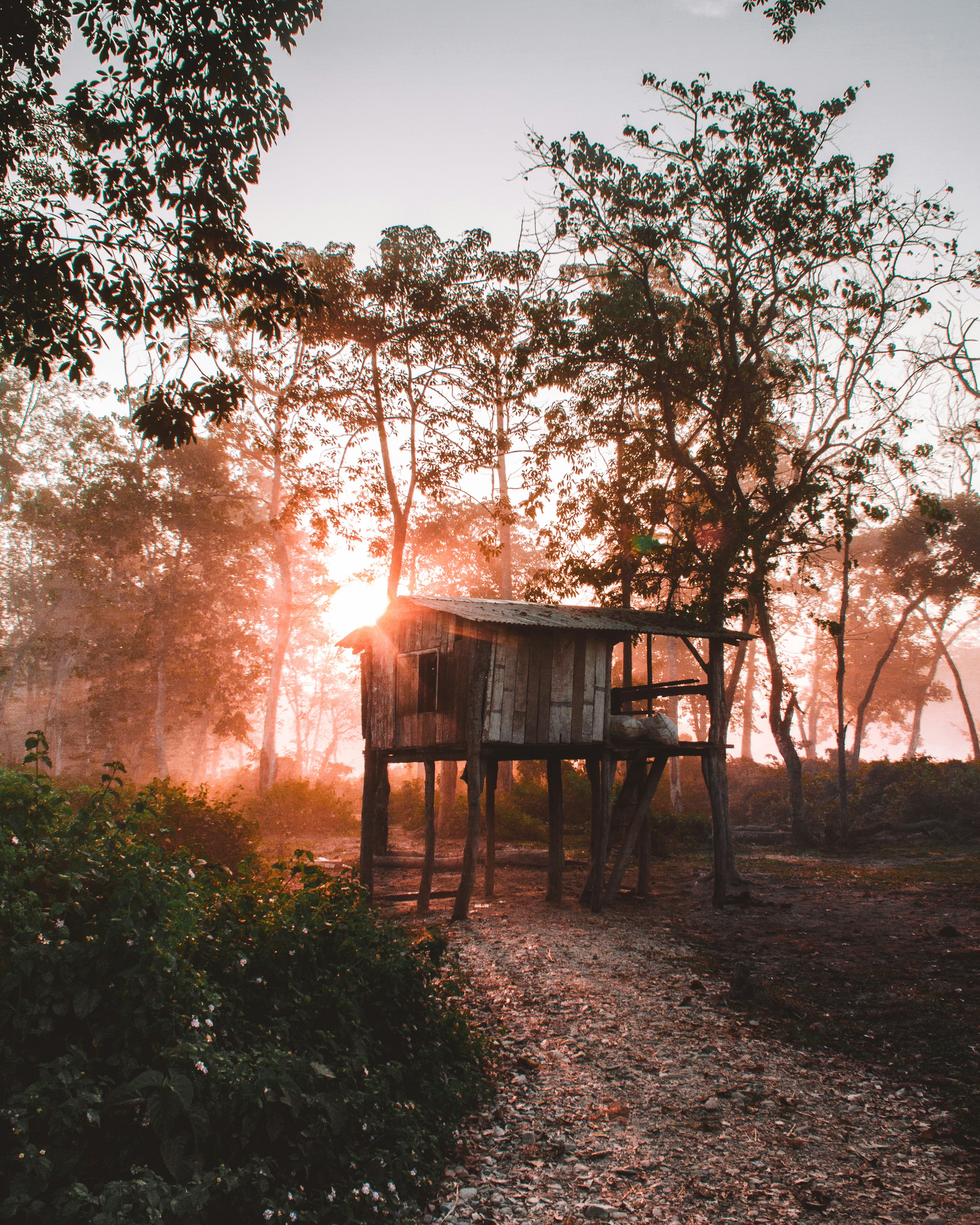 CHITWAN NATIONAL PARK